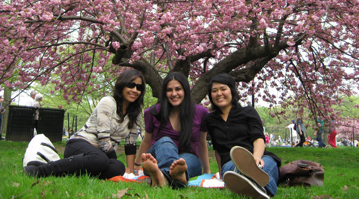 2014_susan_cinthya_tam